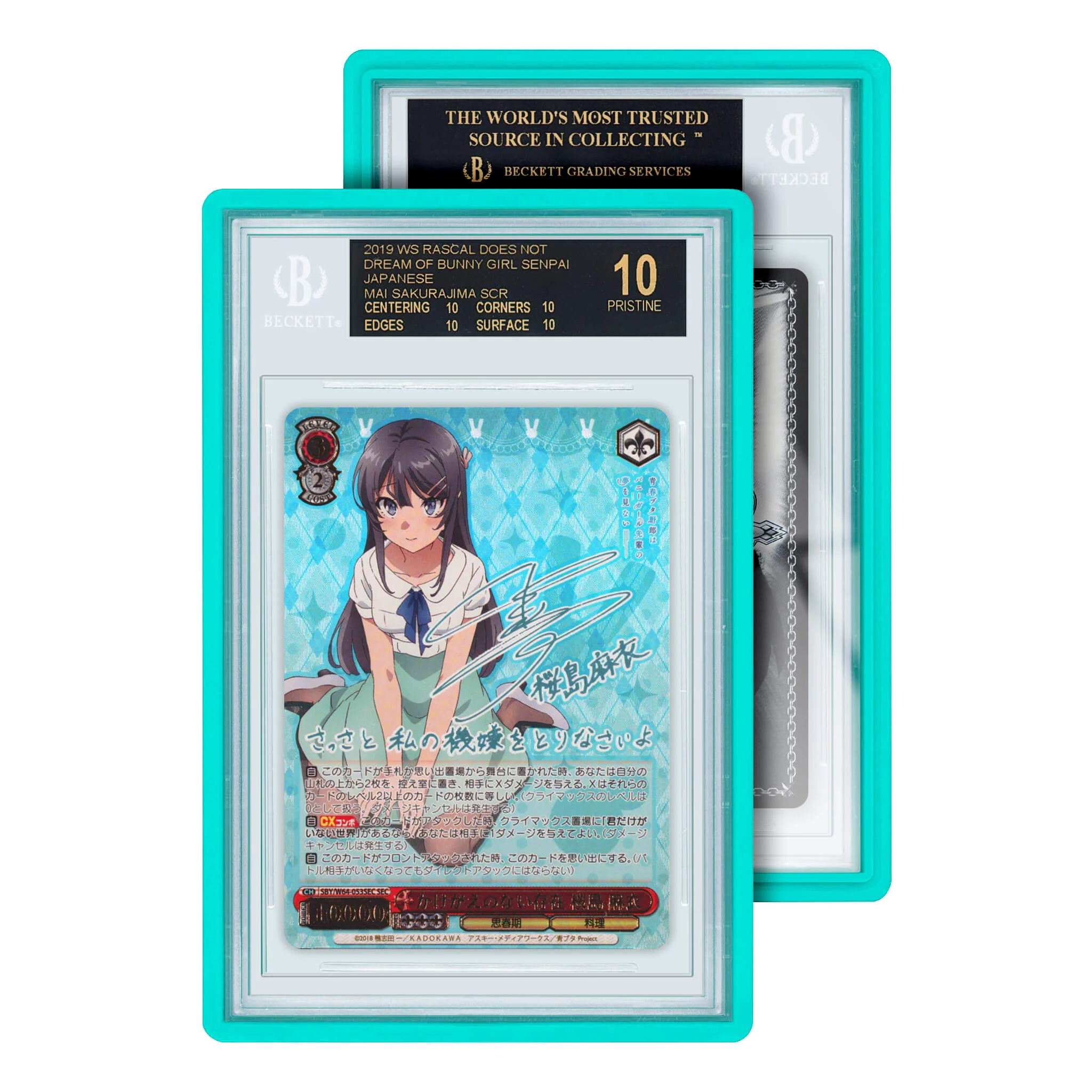 Standard Case (BGS) - Image 6
